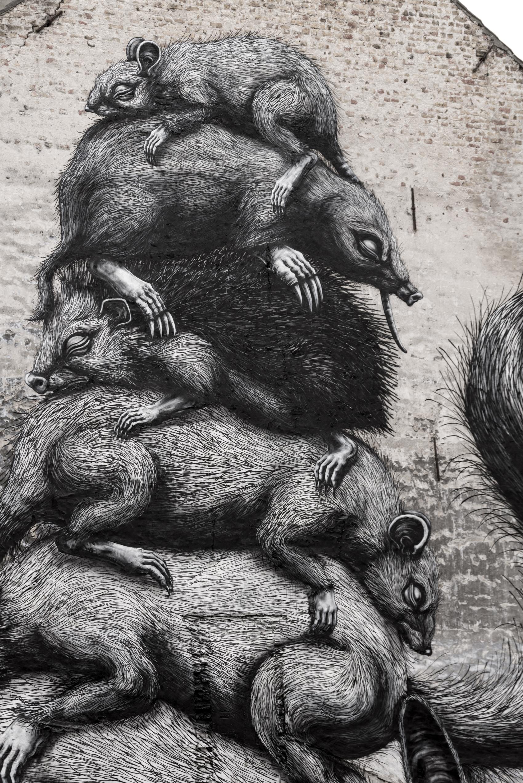 Roa
