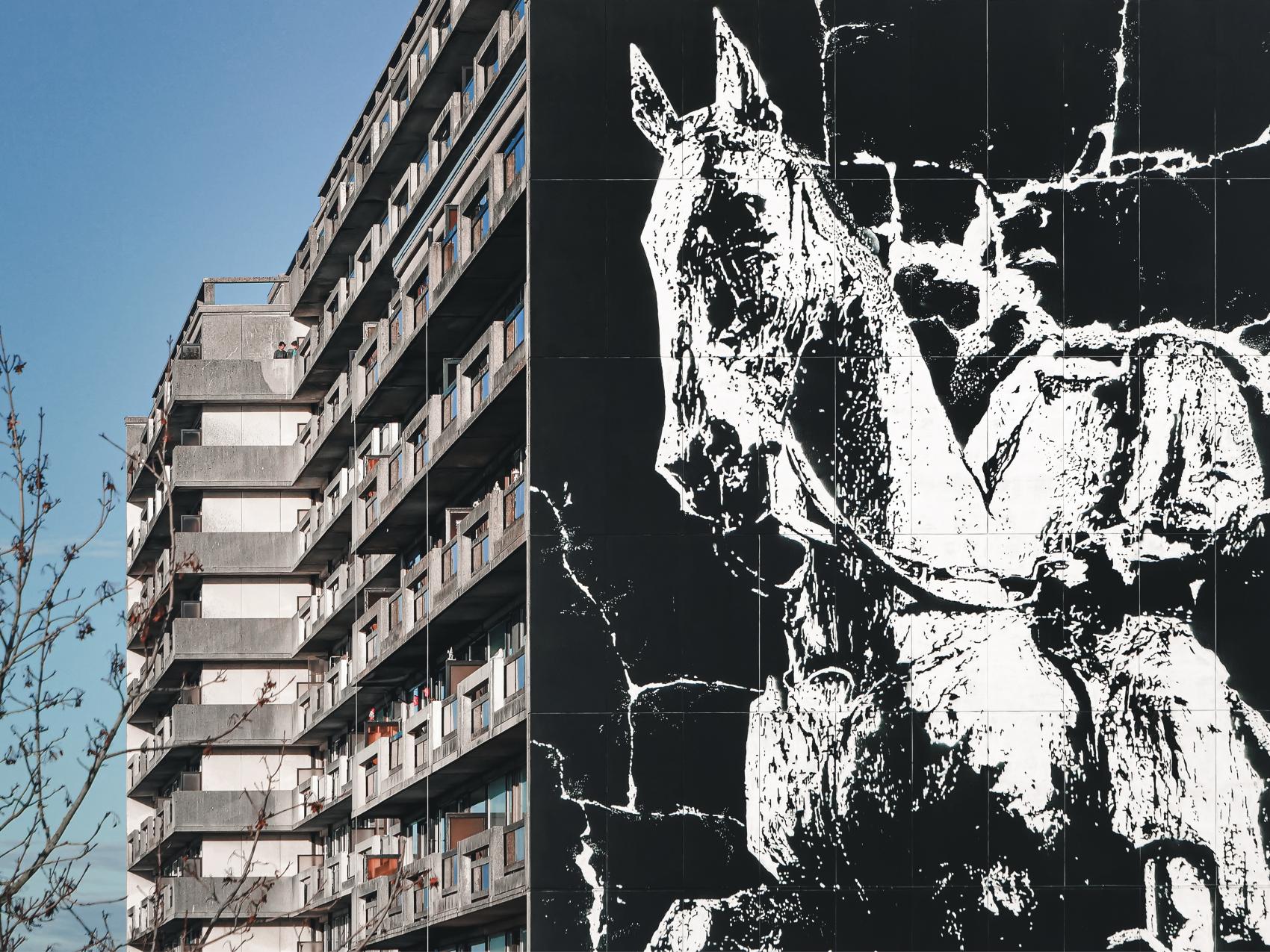 Zenith | The Crystal Ship