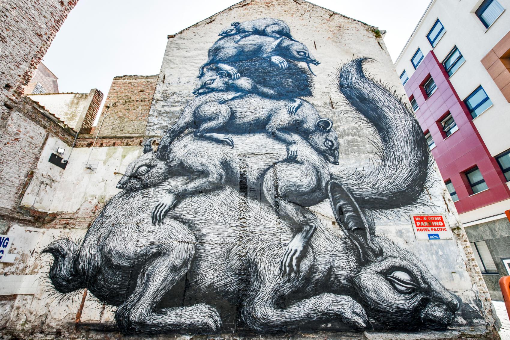 Roa
