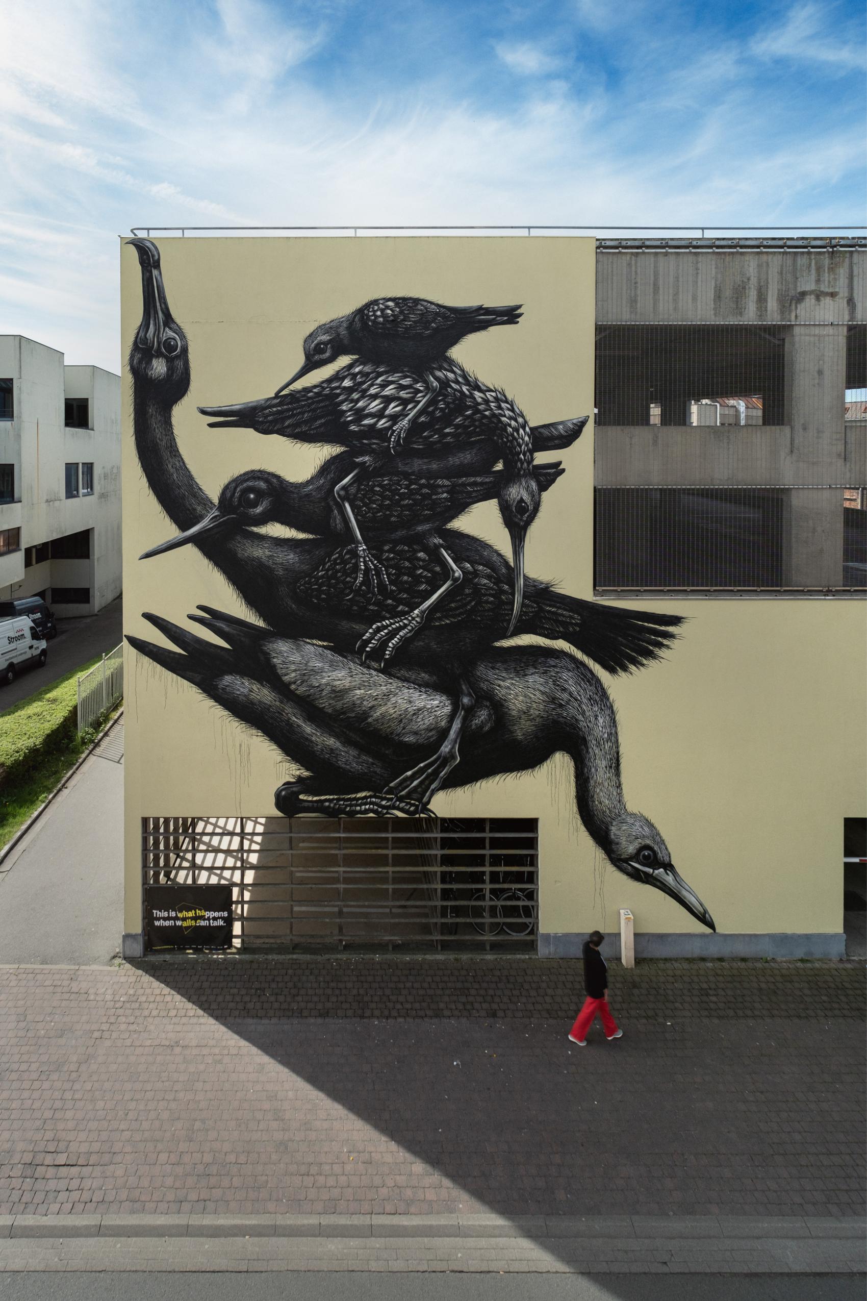 ROA