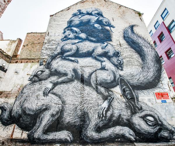 Roa